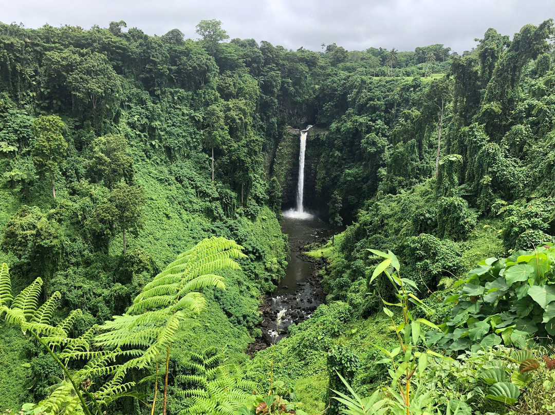 Sopoaga Falls景点图片