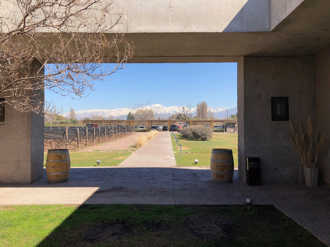 Mendoza Wine Camp-门多萨必去景点