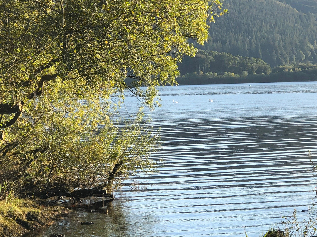 null-Bassenthwaite