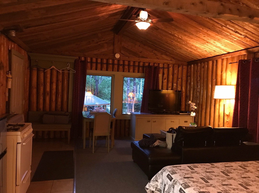 High Falls Motel and Cabins主图