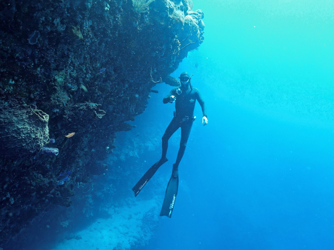 Saba Freediving School-Windwardside必去景点
