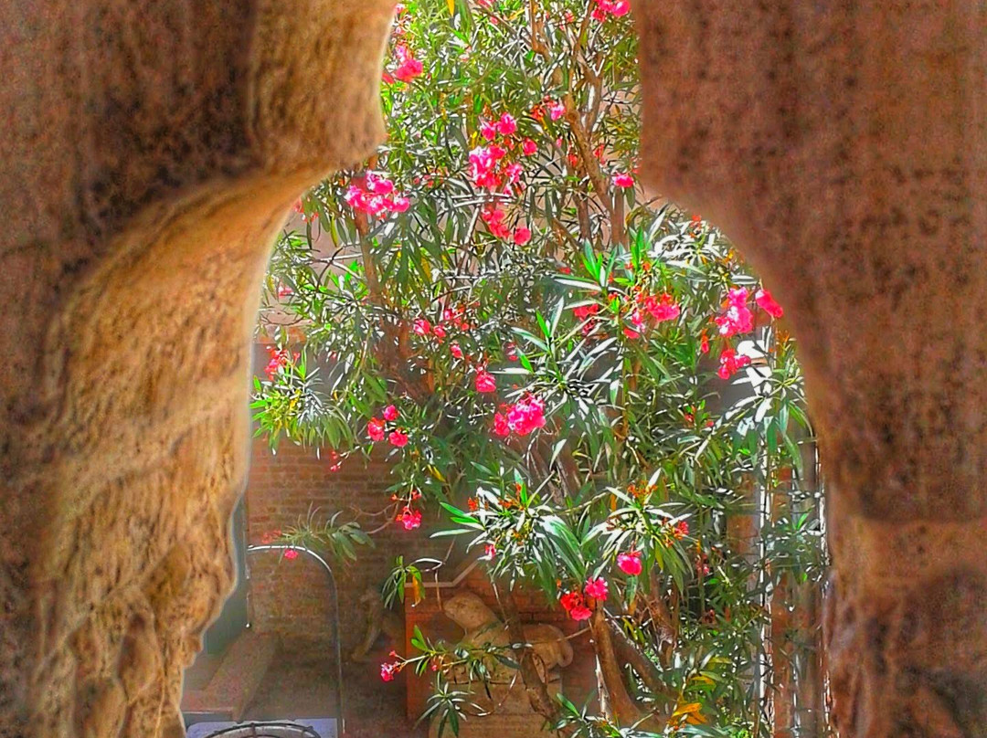 Tourist Guide in Venice and Verona in Russian - Marina-威尼斯必去景点