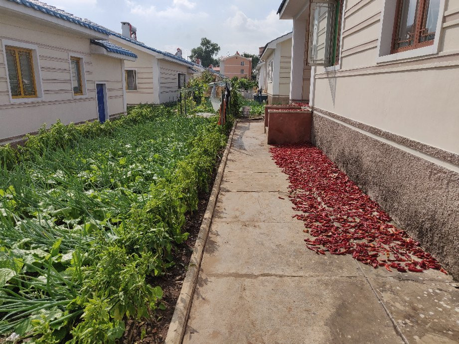 Chongsan-ri Cooperative Farm-Nampo必去景点