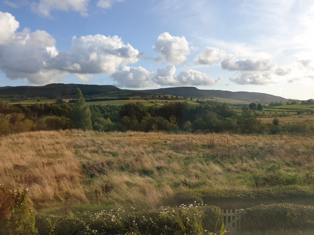 Thropton Demesne Farmhouse B&B主图