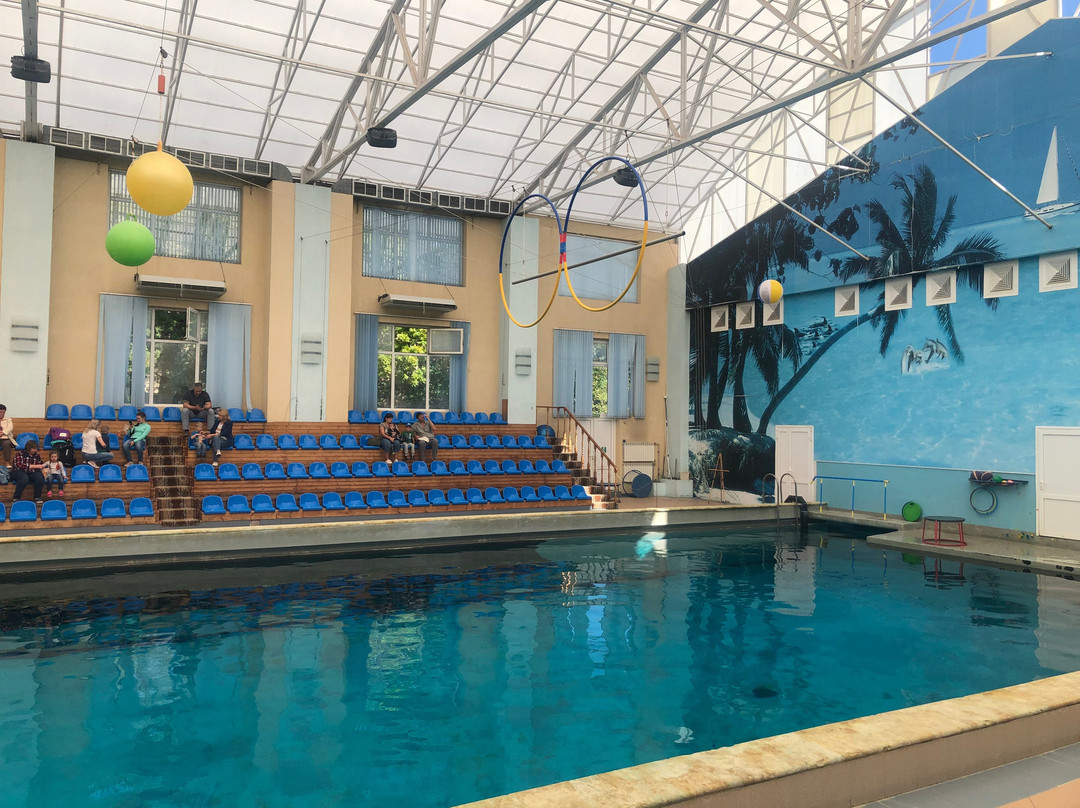 Kislovodsk Dolphinarium景点图片