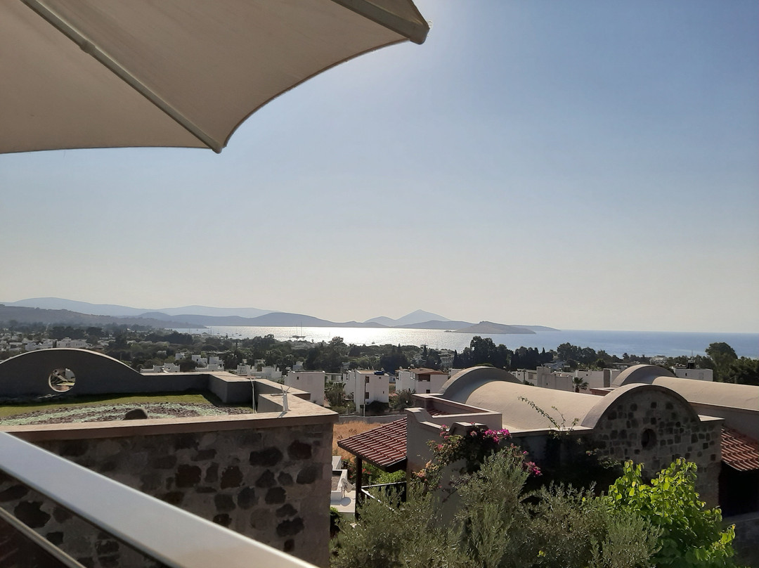 Temenos Luxury Suites Hotel & Spa主图