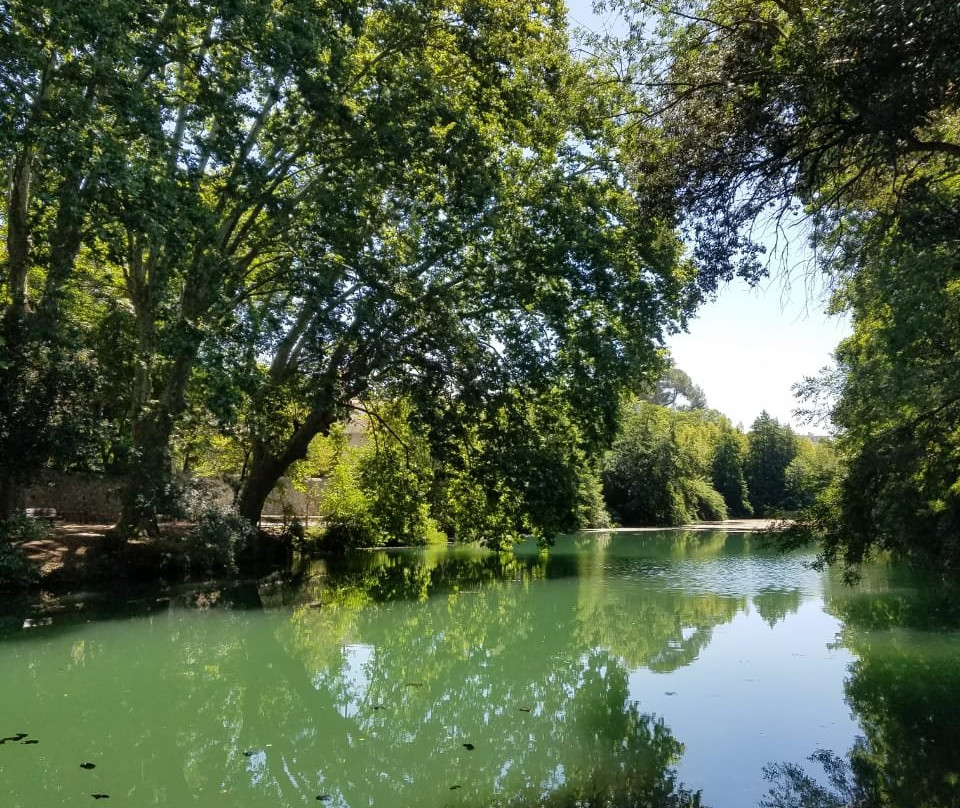Parc du Domaine de Meric-蒙彼利埃必去景点