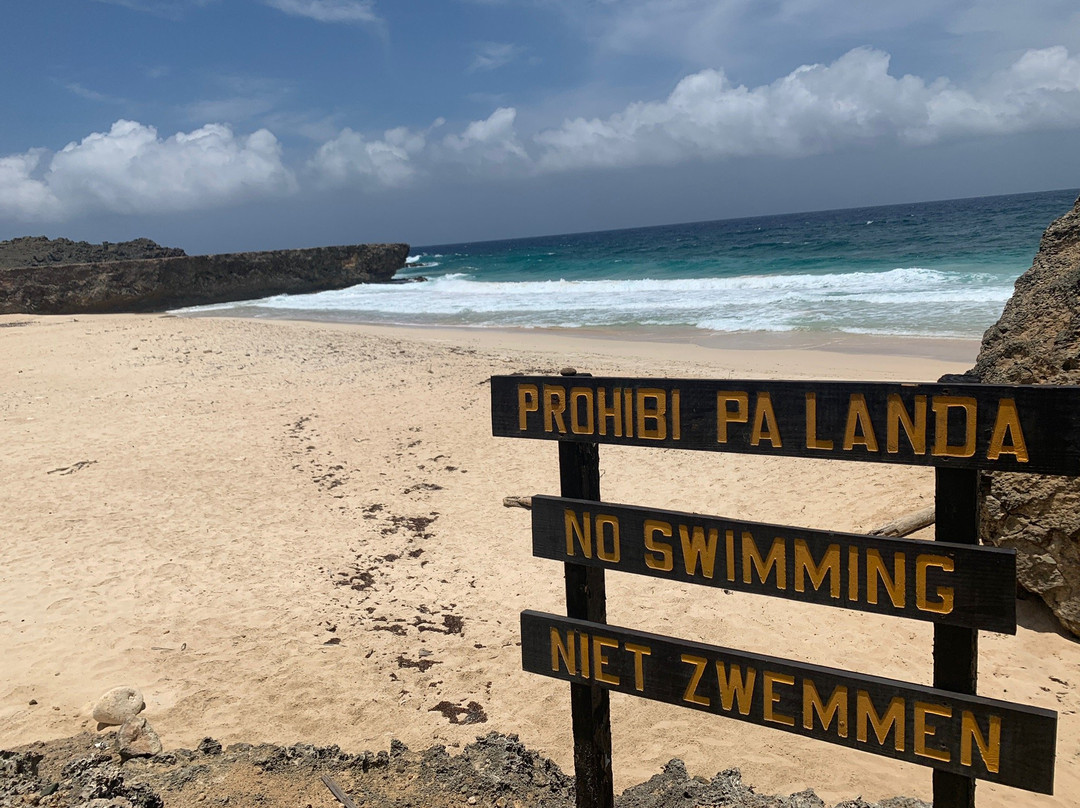 Dos Playa-Santa Cruz必去景点