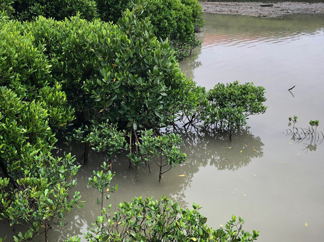 Manko Waterbird and Wetland Center景点图片