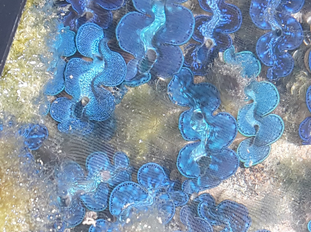 Cocos Keeling Islands Visitor Centre-科科斯（基林）群岛必去景点