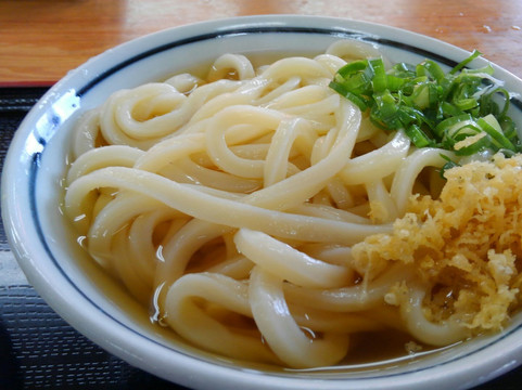 うつ海うどん