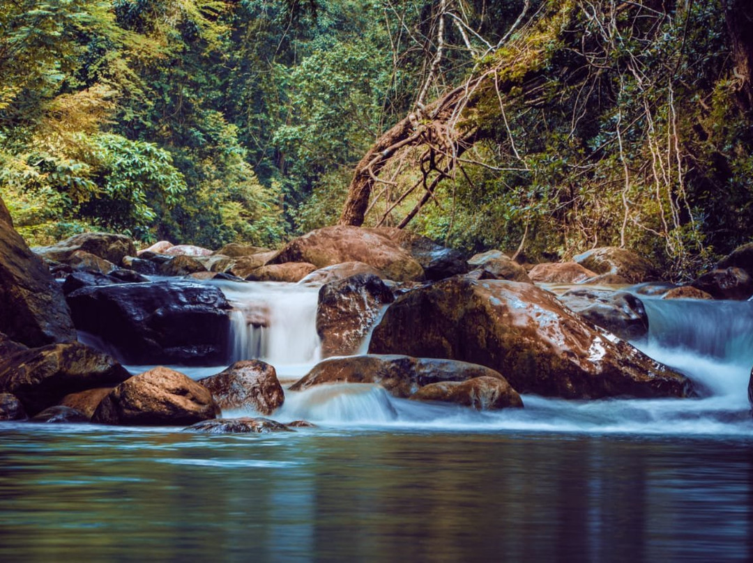 Meenmutty Waterfalls景点图片