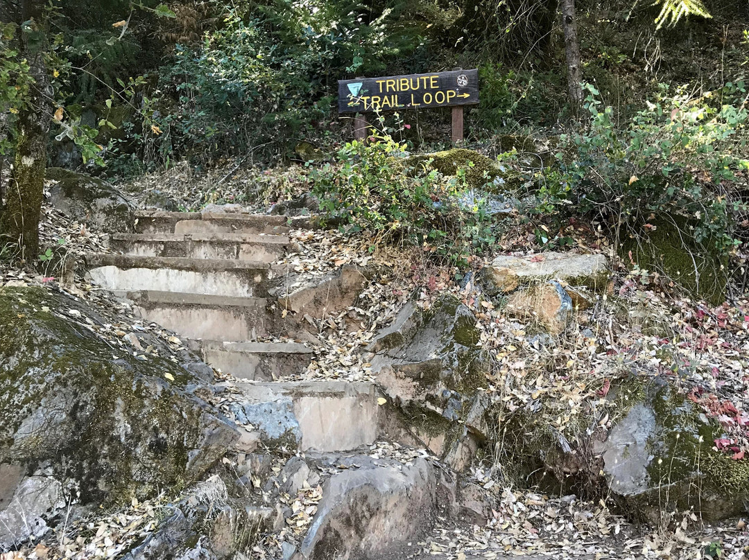 Deer Creek Tribute Trail-Nevada City必去景点