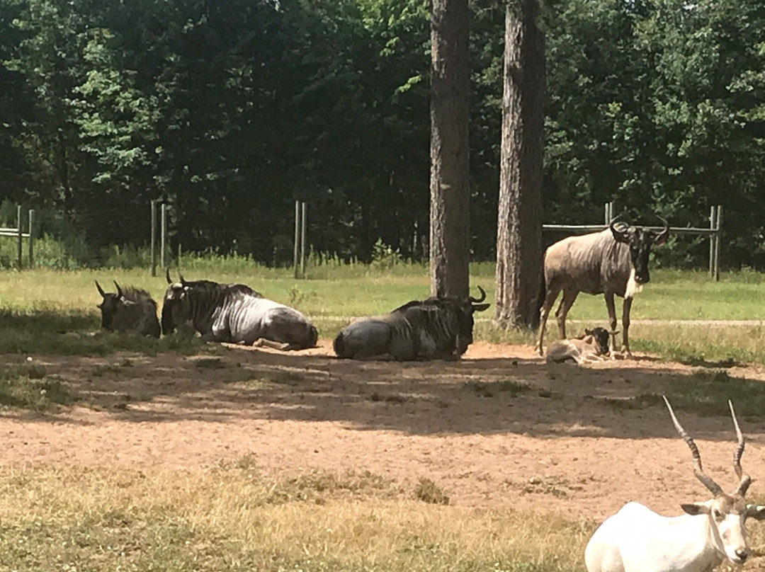 Wildwood Wildlife Park & Nature Center景点图片