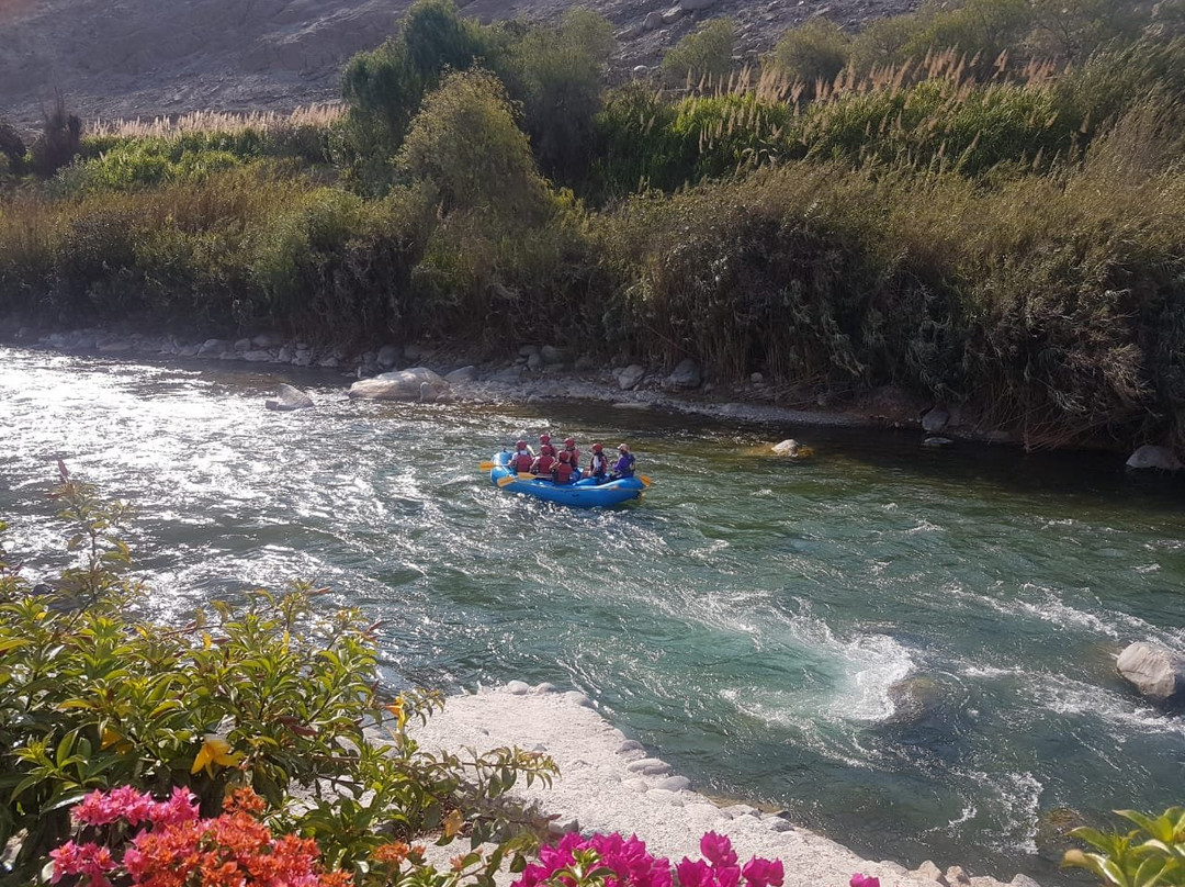 Hotel Embassy Rio主图