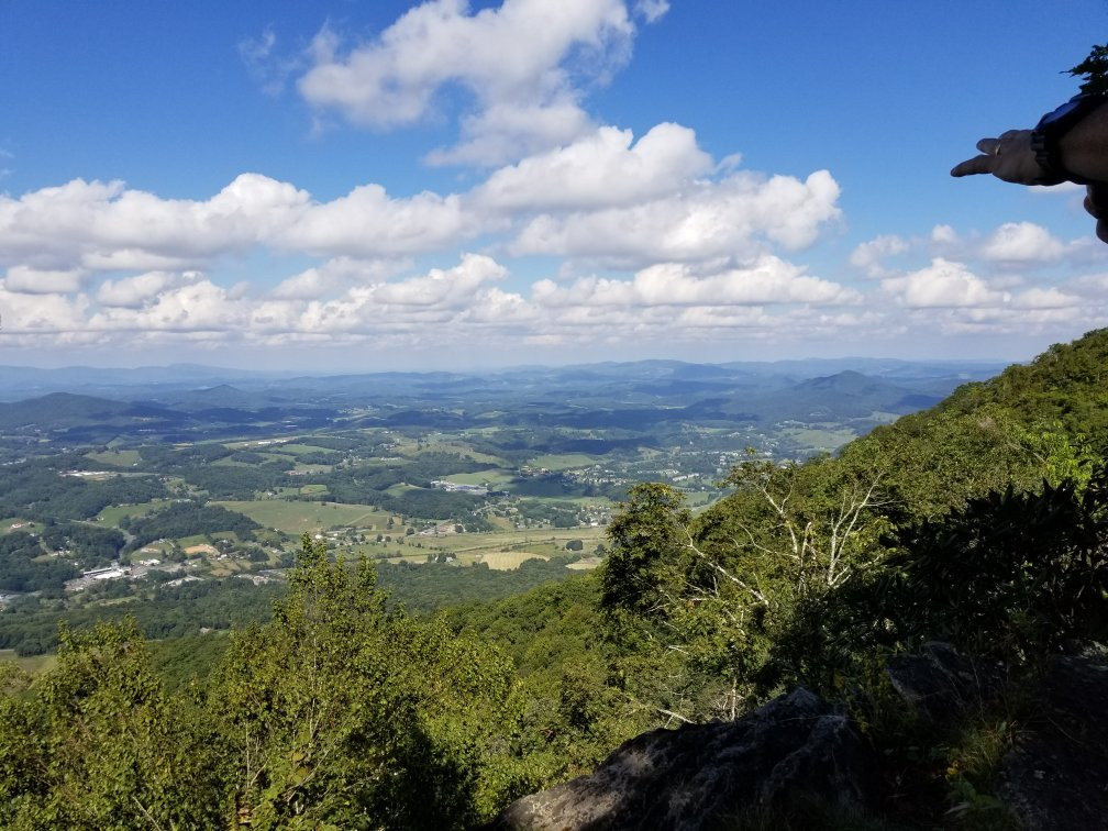 Rhododendron Trail景点图片