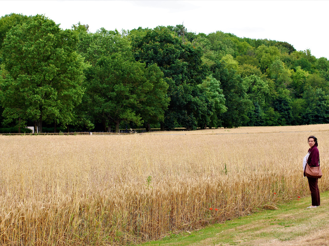 Cimetiere Militaire Allemand -Dompierre必去景点