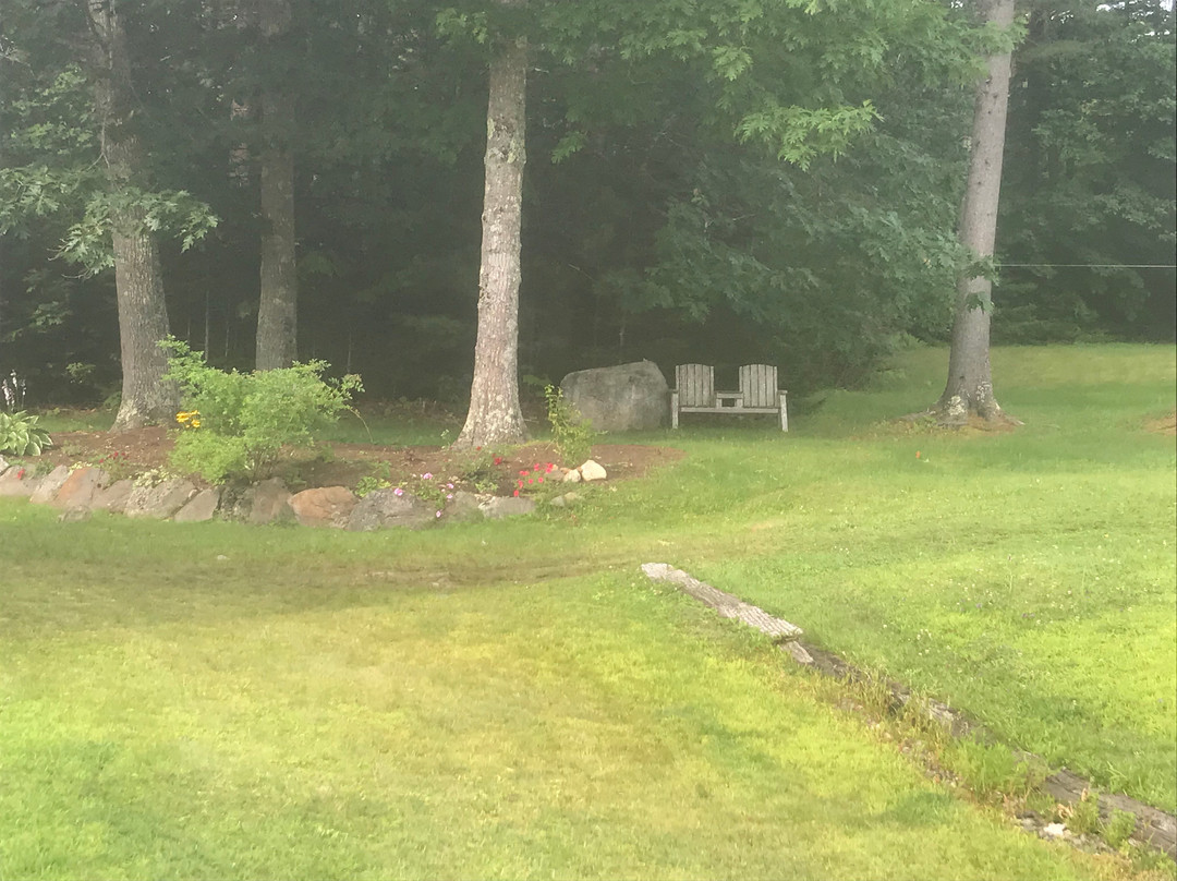 Black Horse Inn主图