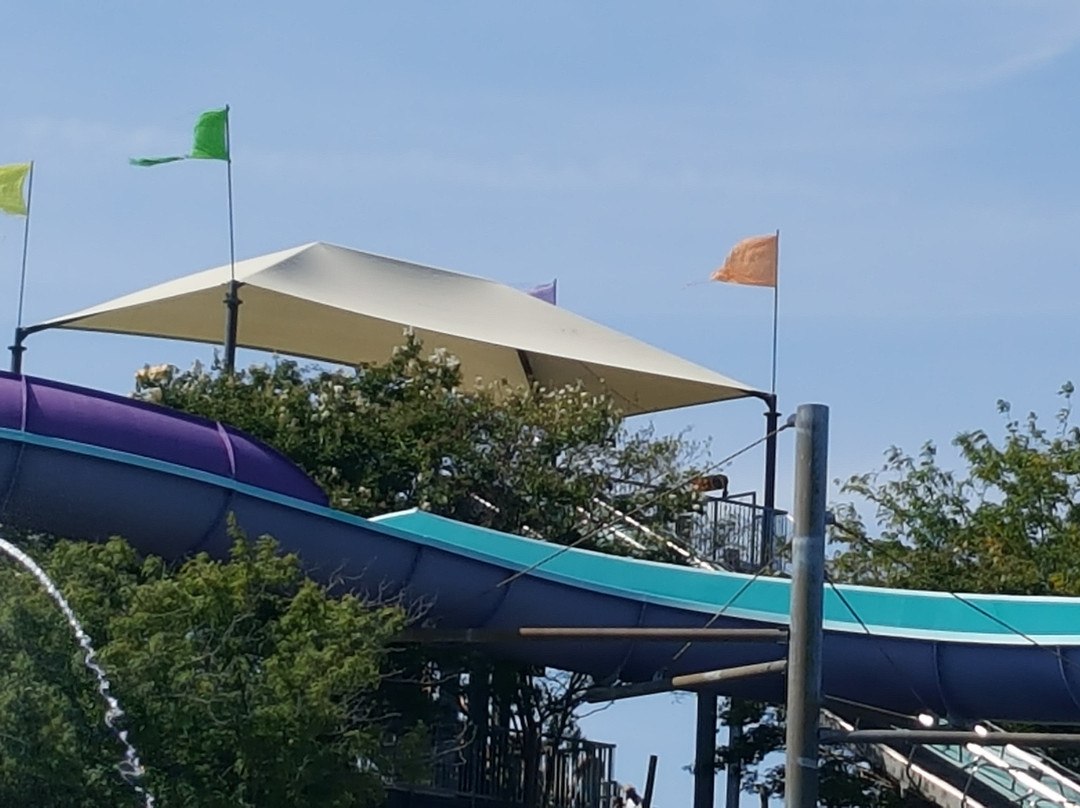 Jungle Jim's-里霍博斯比奇必去景点