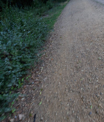 Te Boelaerpark-安特卫普必去景点