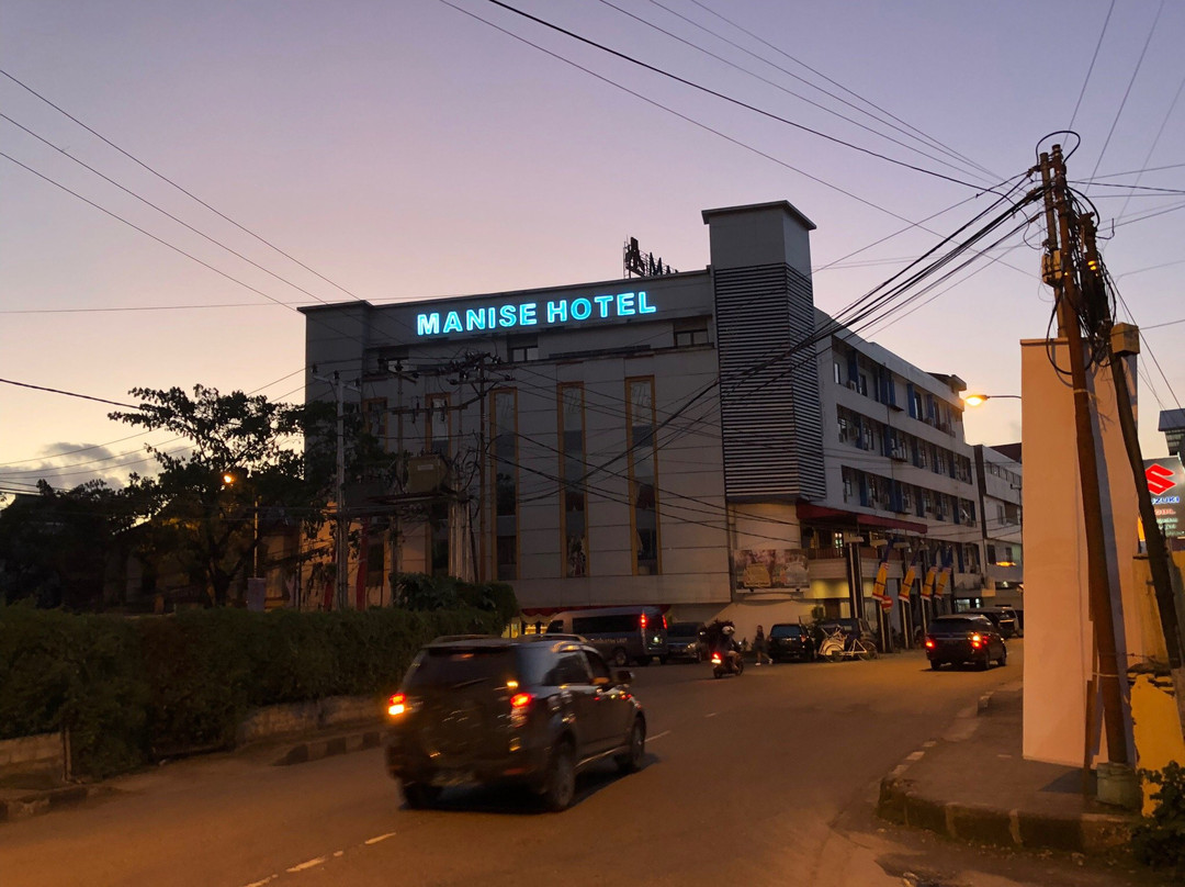 马尼斯酒店主图