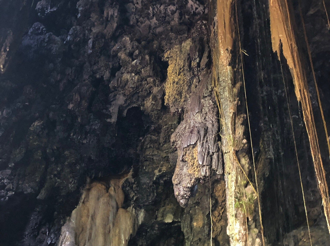Tetes Cave-Lumajang必去景点