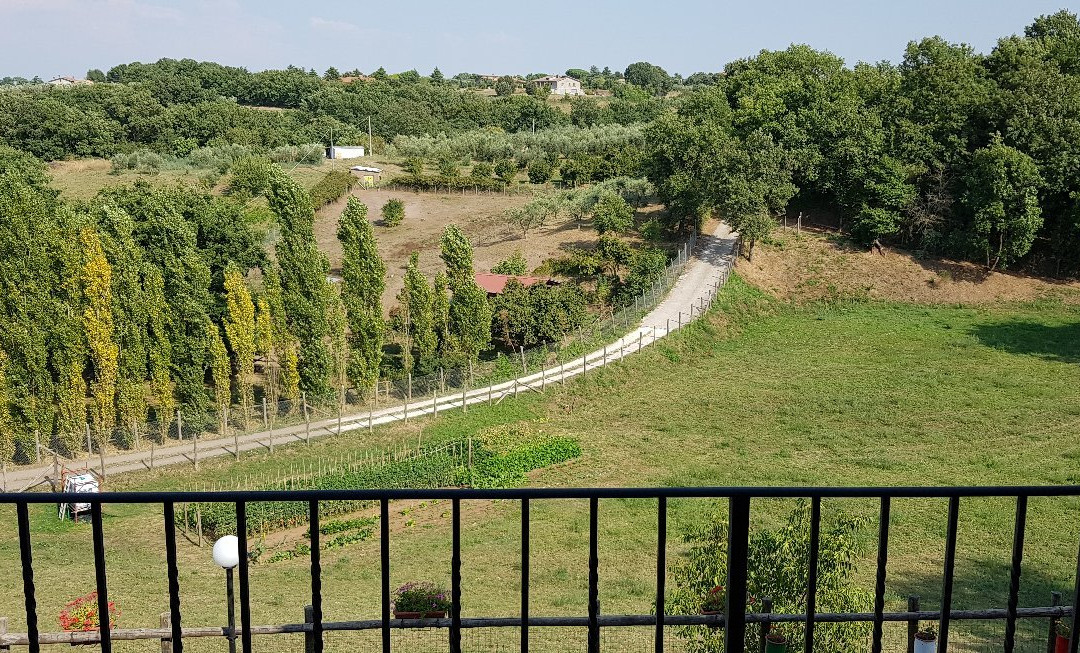 Villa Farfalla Bianca主图