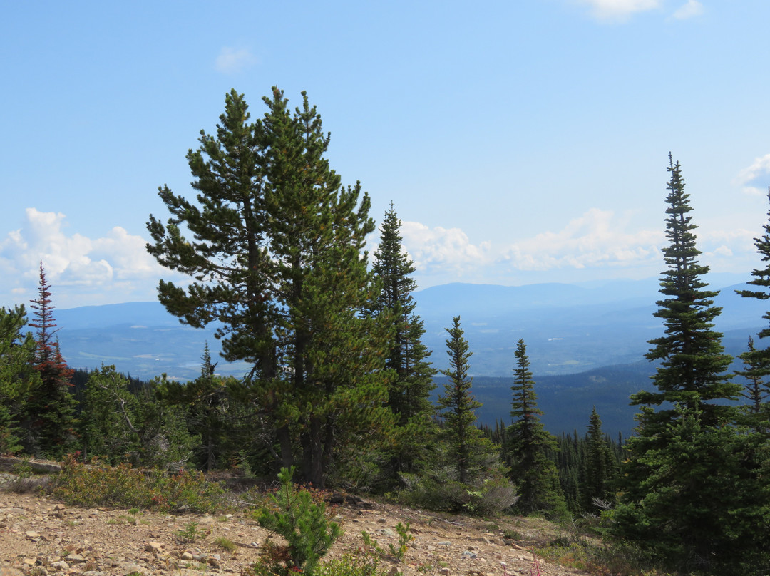 Hudson Bay Mountain Resort-Smithers必去景点