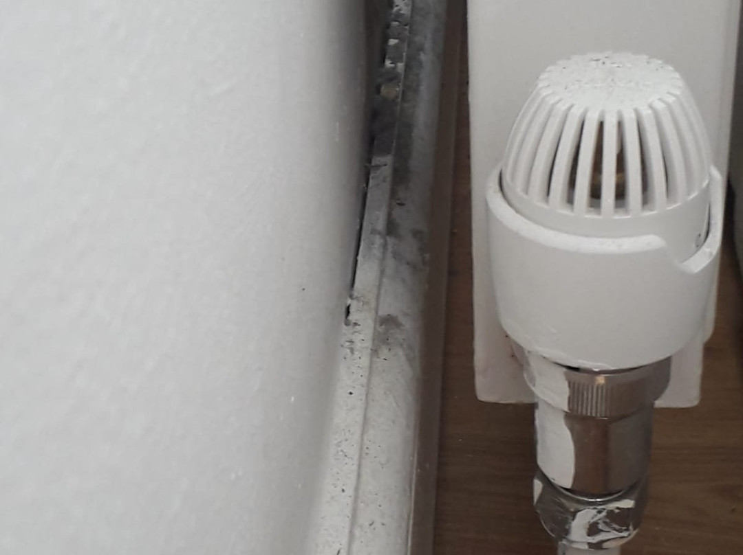 The Lemon Tree Hotel