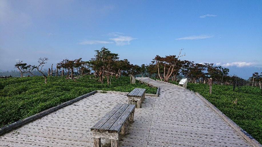 Odaigahara Visitor Center景点图片