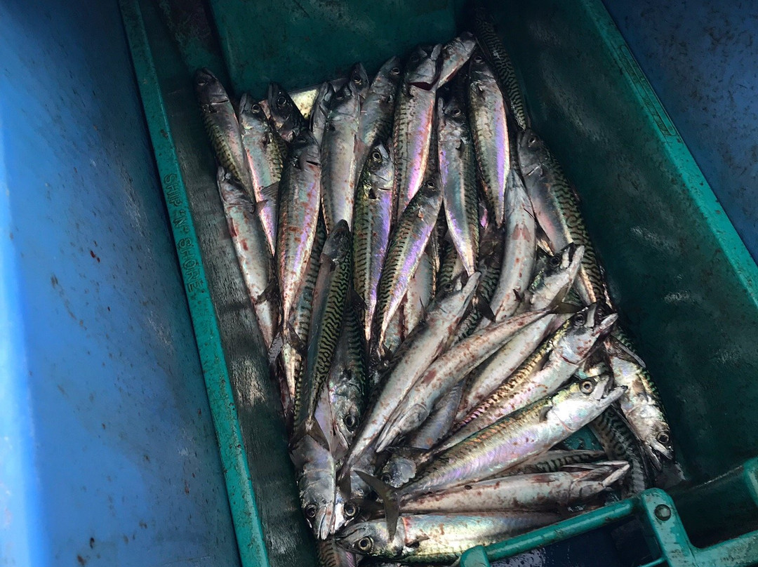 Joey's Deep Sea Fishing-Rustico必去景点