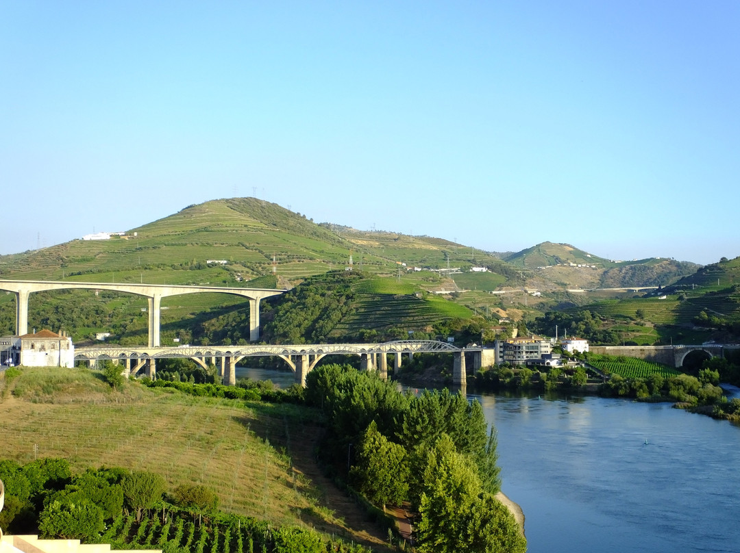 Cruzeiros Douro景点图片