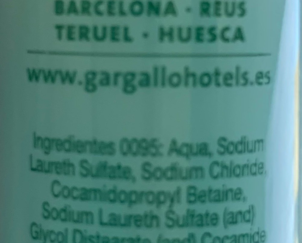 Reina Cristina Hotel主图