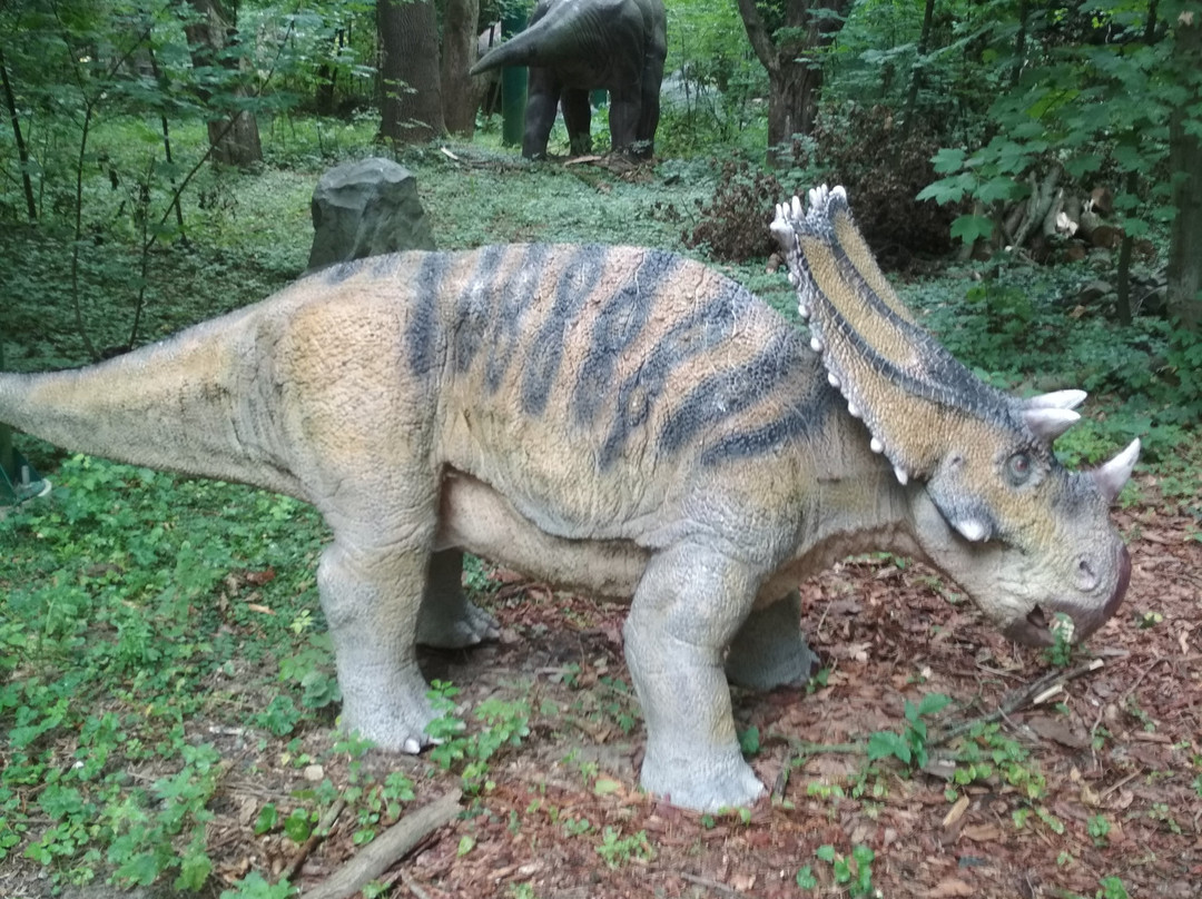 DinoPark Zoo Vyskov-Vyskov必去景点