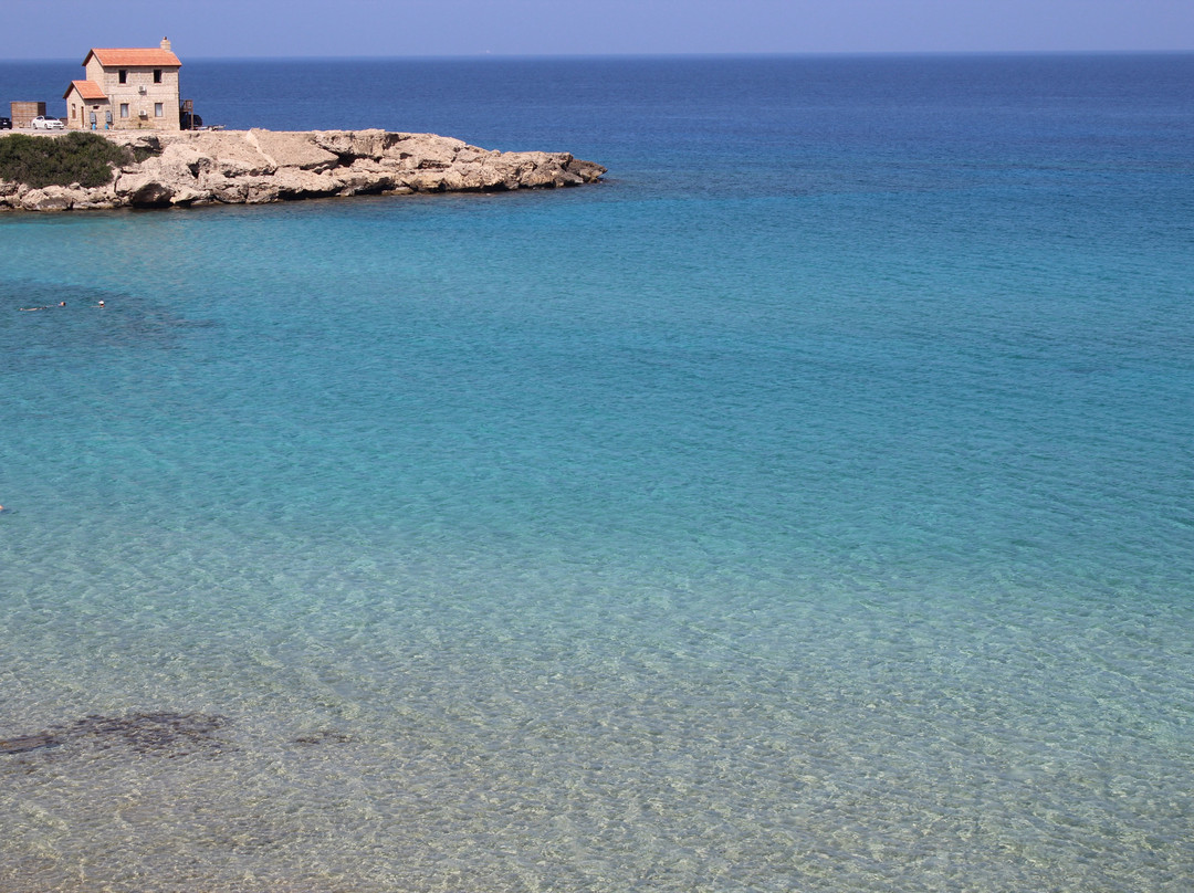 Sea Bird Motel主图