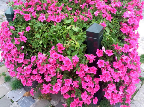 Hungry Mary - Food Tours-布鲁塞尔必去景点