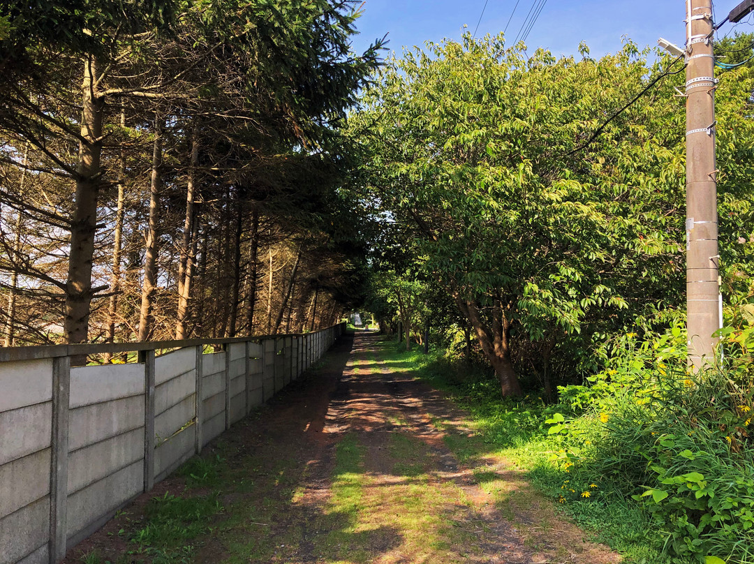 Samekado Lighthouse-八户市必去景点