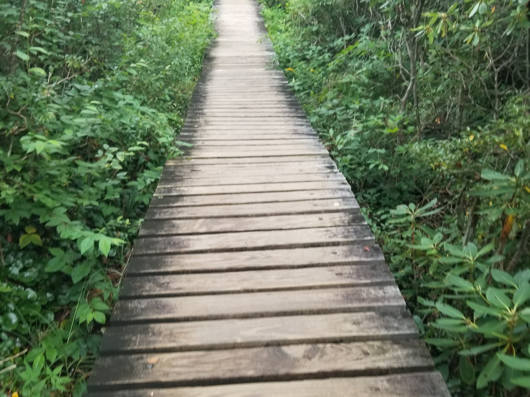 Graveyard Fields Hike & Waterfalls-Canton必去景点