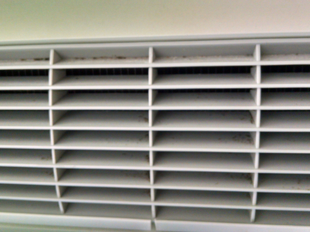 The Bay Resort Waterfront Hotel主图