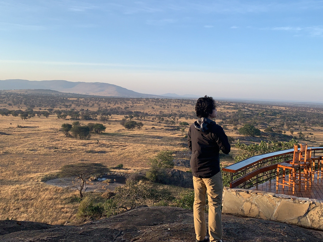 路宝野生动物山林小屋主图