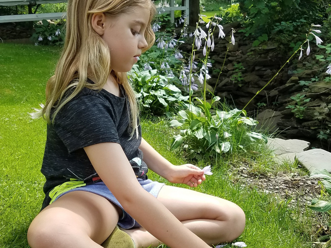 Kountry Living Bed and Breakfast主图