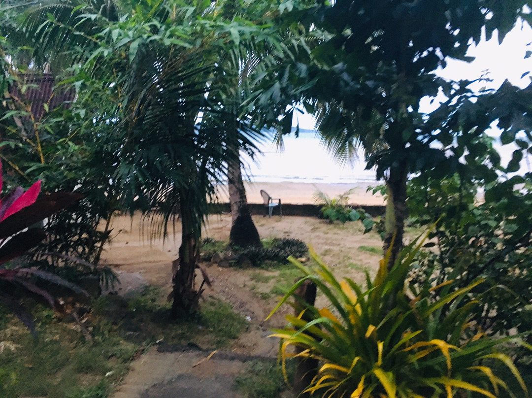 Southdrive Beach Resort主图