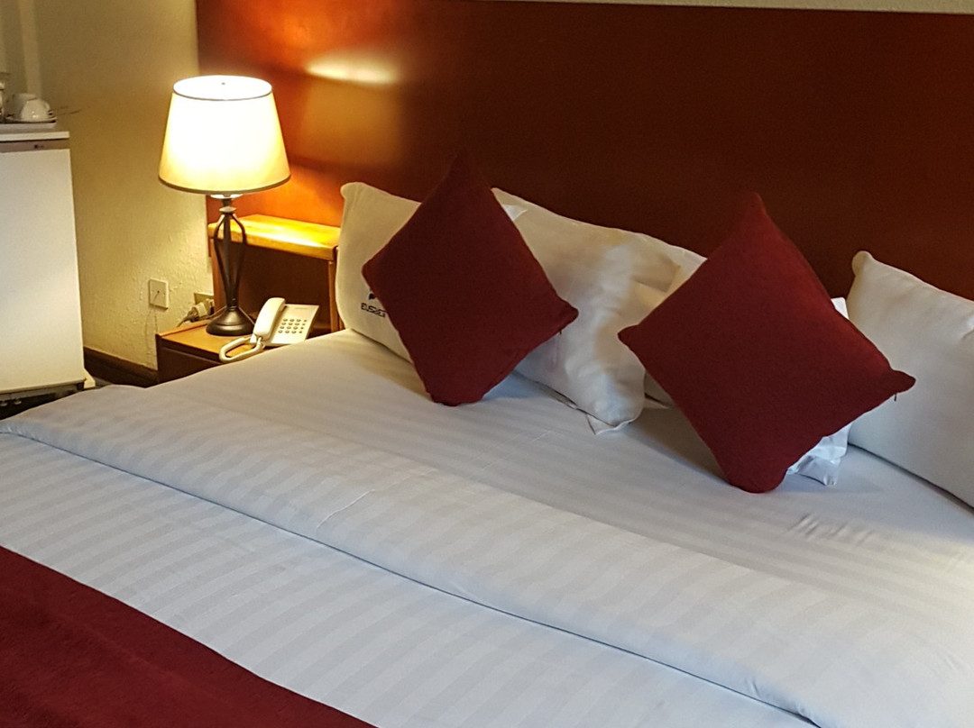 厄斯贝特酒店主图