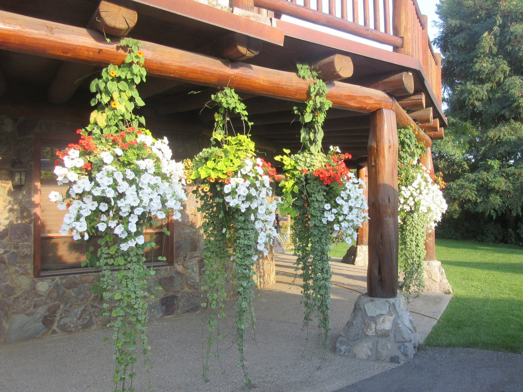 The Castle At Swan Lake主图