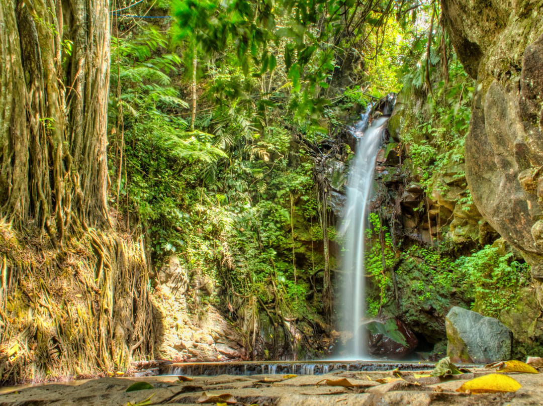 Palutungan & Curug Putri景点图片