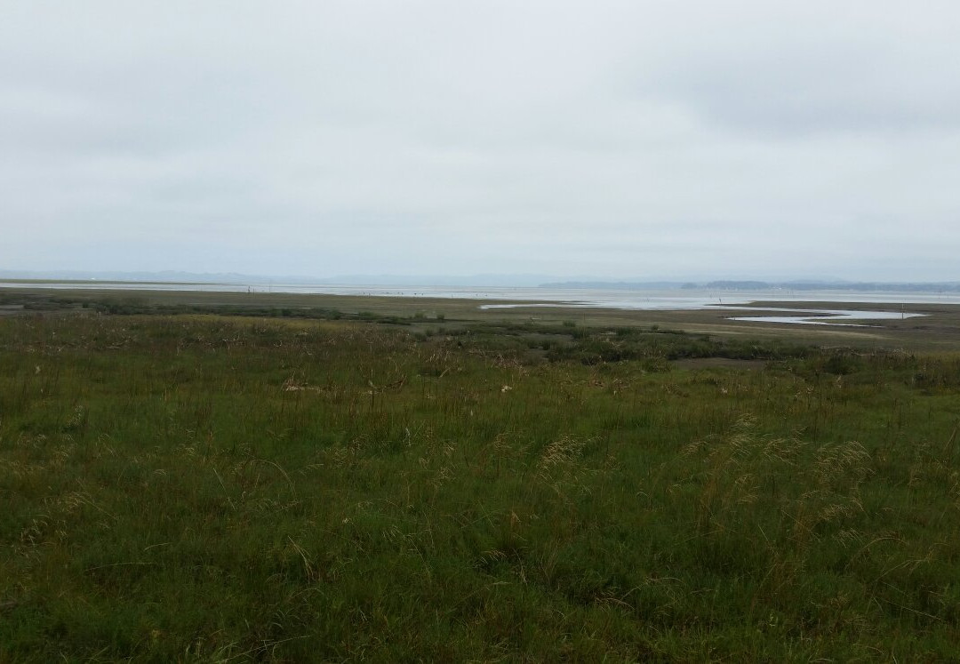 Leadbetter Point State Park-Oysterville必去景点