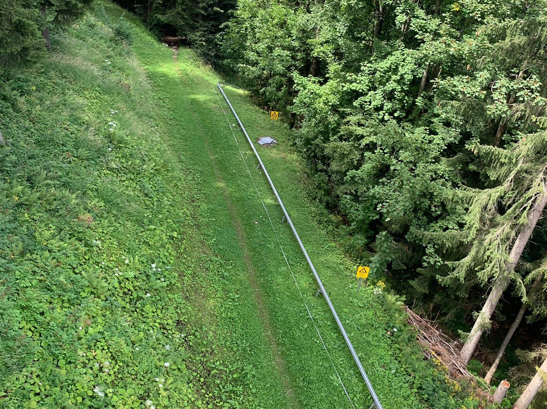 Sommerrodelbahn Keltenblitz景点图片