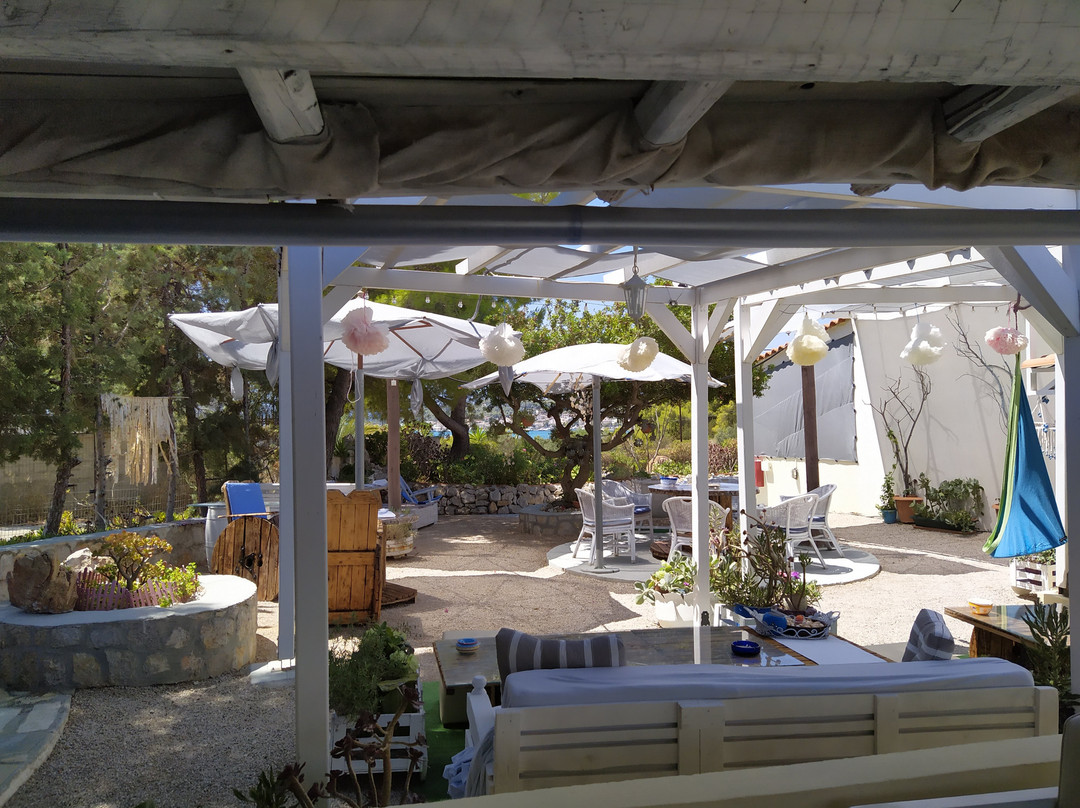 Viglia Studios主图