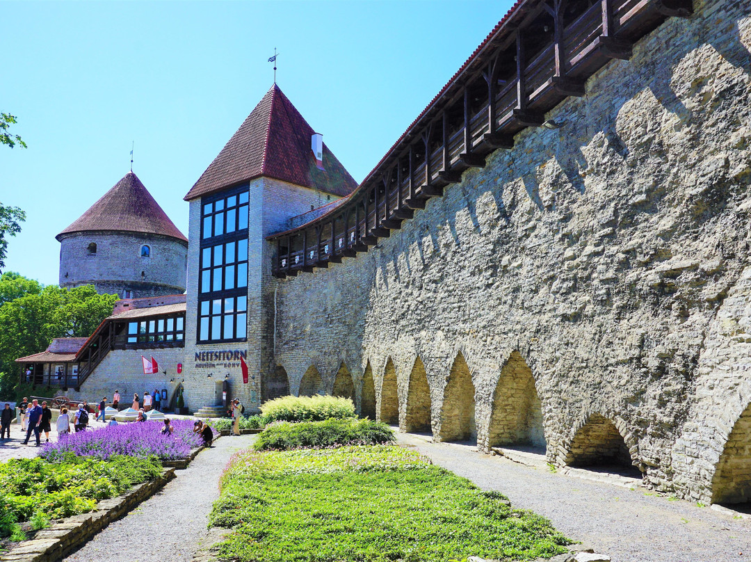 Tallinn City Walks-塔林必去景点
