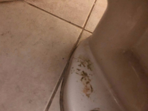 温德姆·贝克利麦客达套房酒店主图